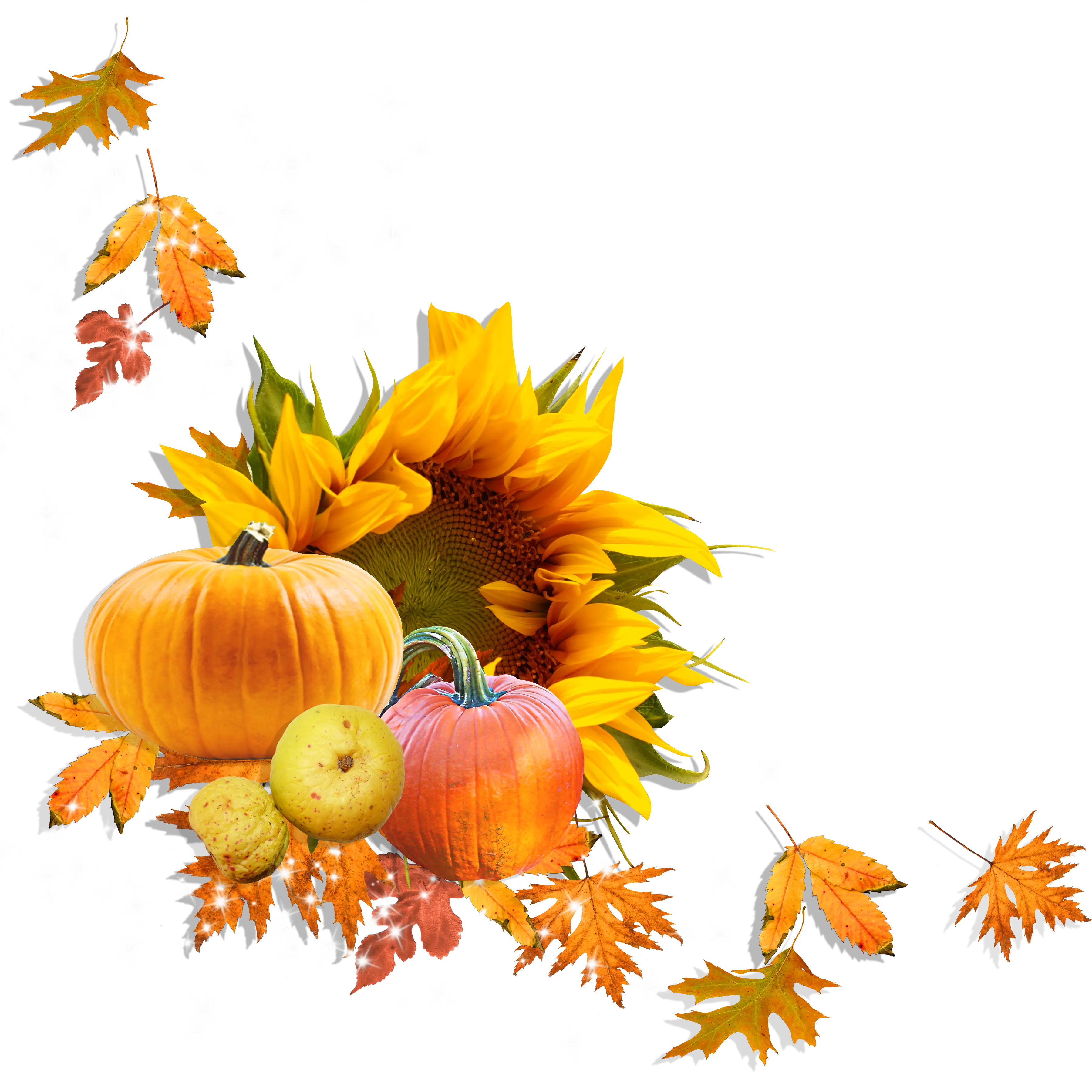 Autumn Decor With Pumpkin, Leaves, and Sunflower