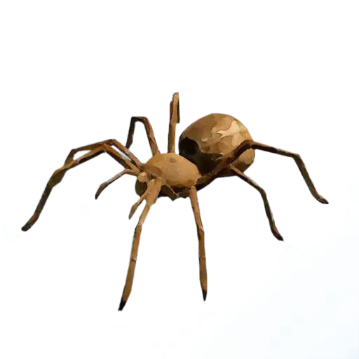 Realistic Brown Spider Illustration