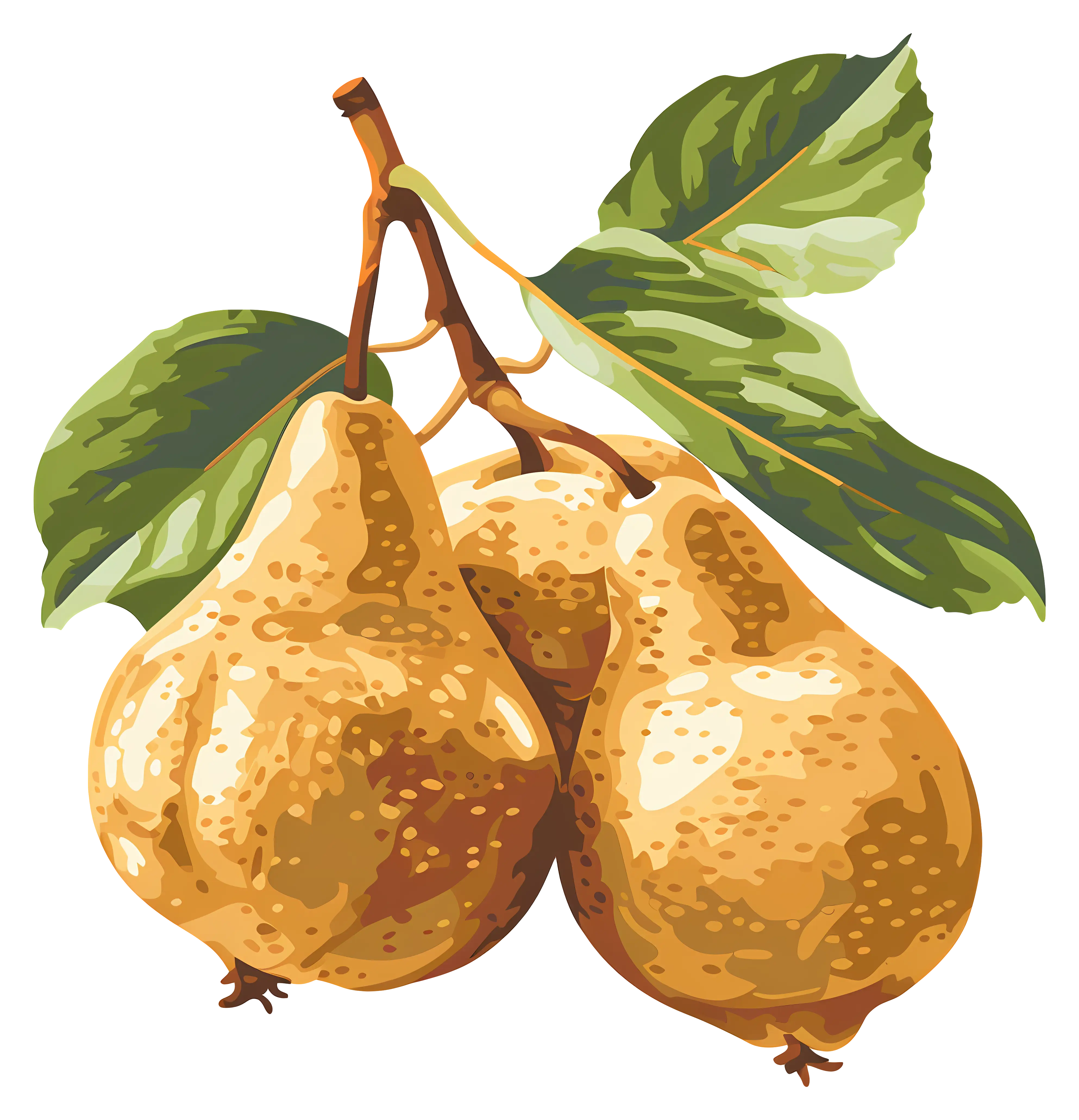 Golden Pears with Fresh Leaves