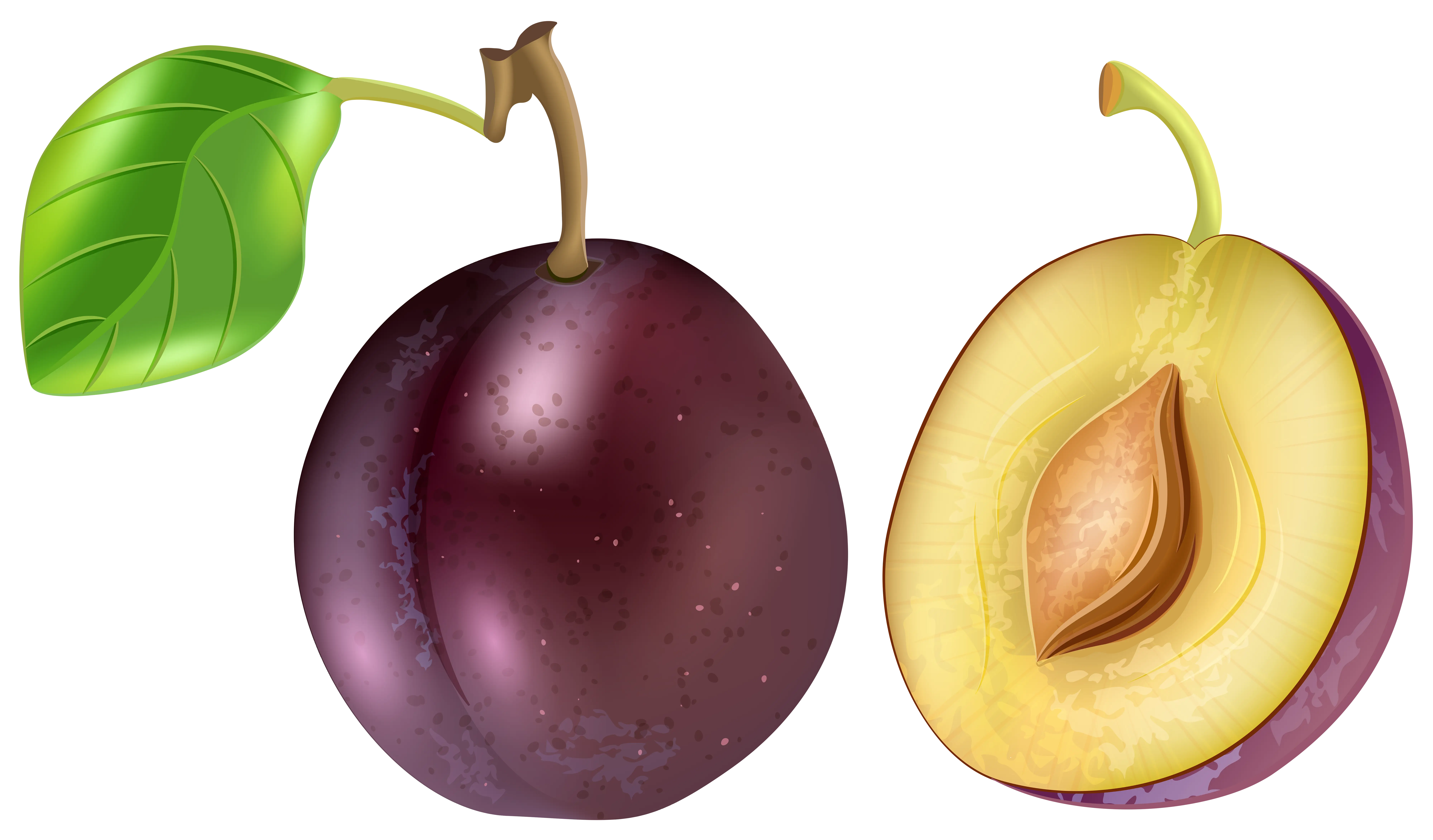 Whole and Halved Plum with Leaf