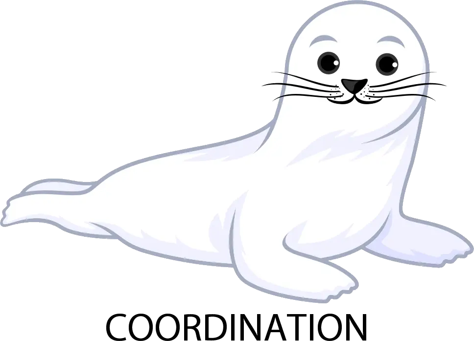 Cute Cartoon Seal with Coordination Text