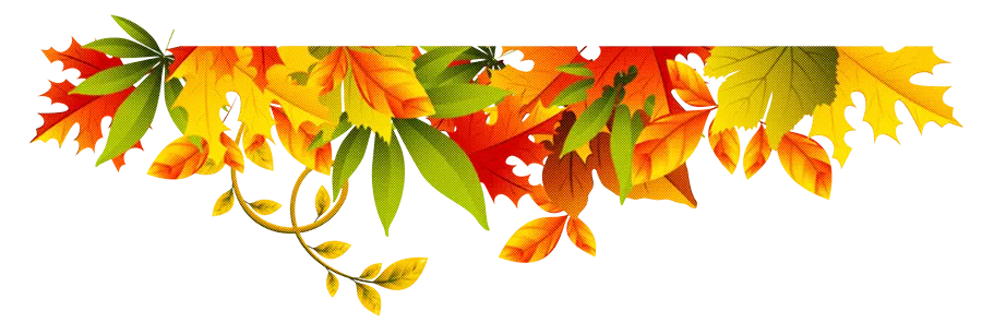 Autumn Leaves Decoration Border Illustration