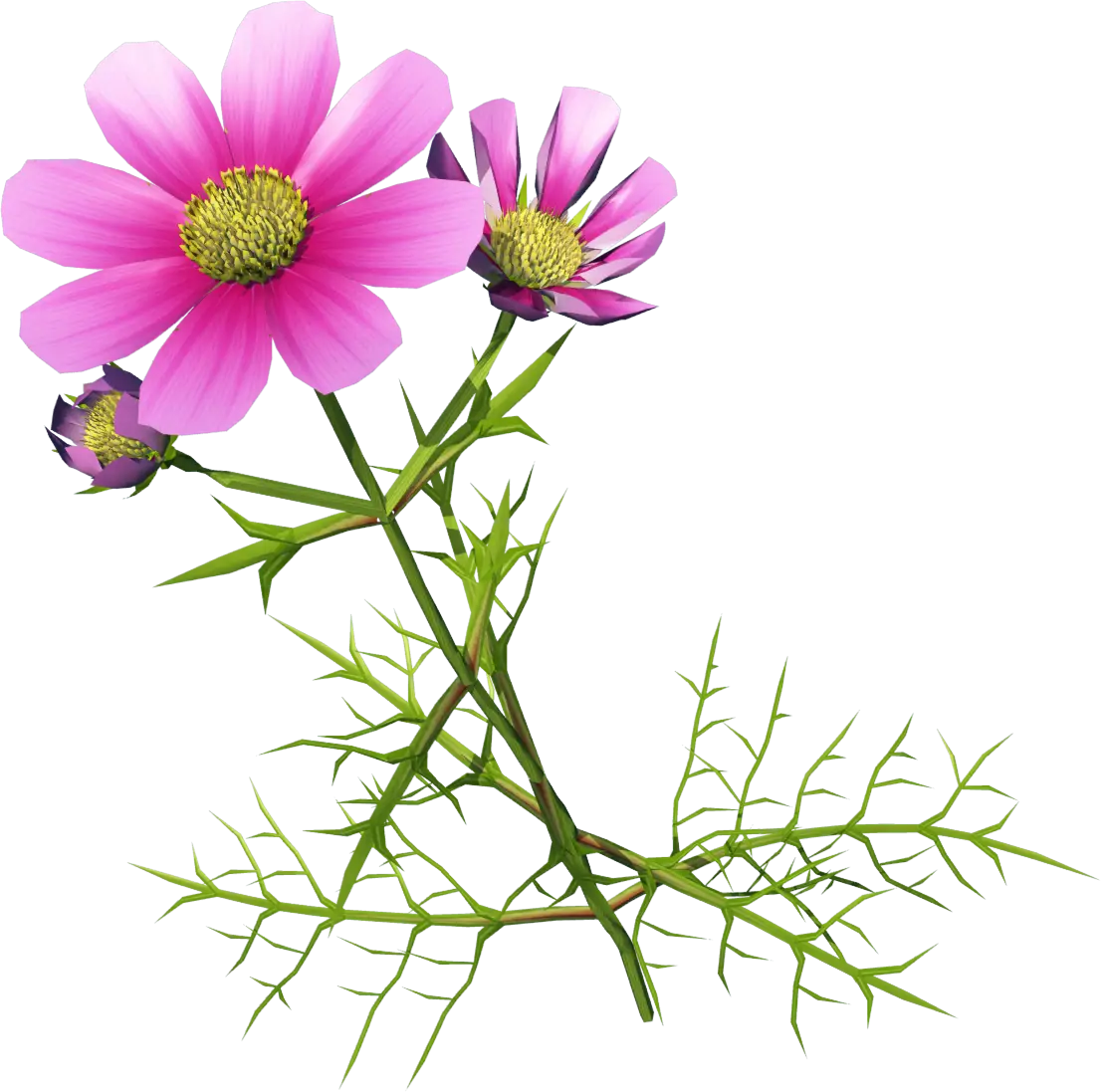 Realistic Pink Flower with Stems