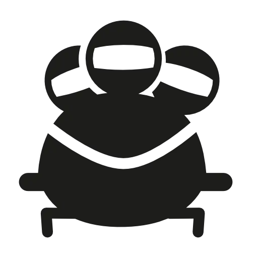 Sumo Wrestlers in Action