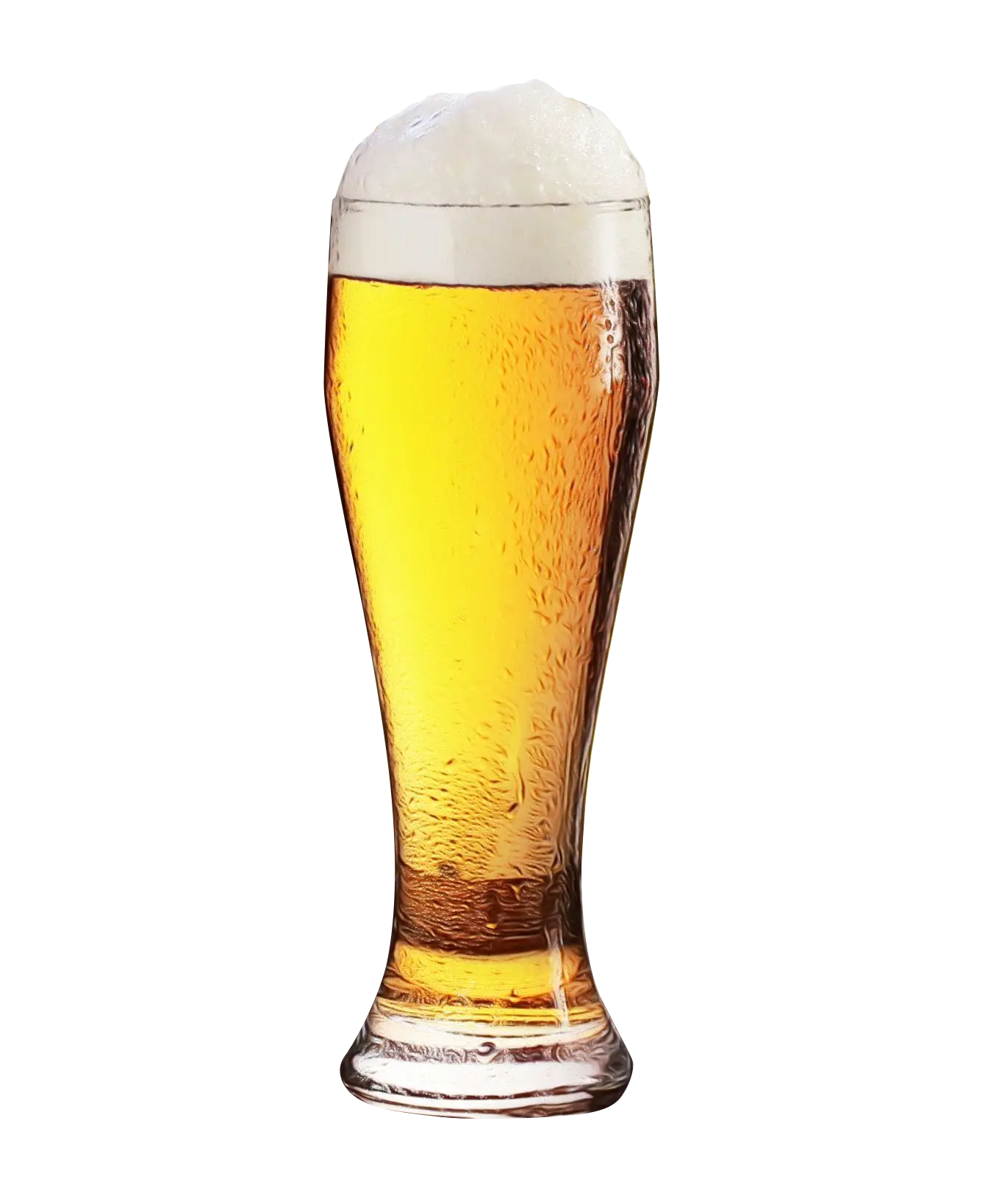 Tall Glass of Beer with Foam
