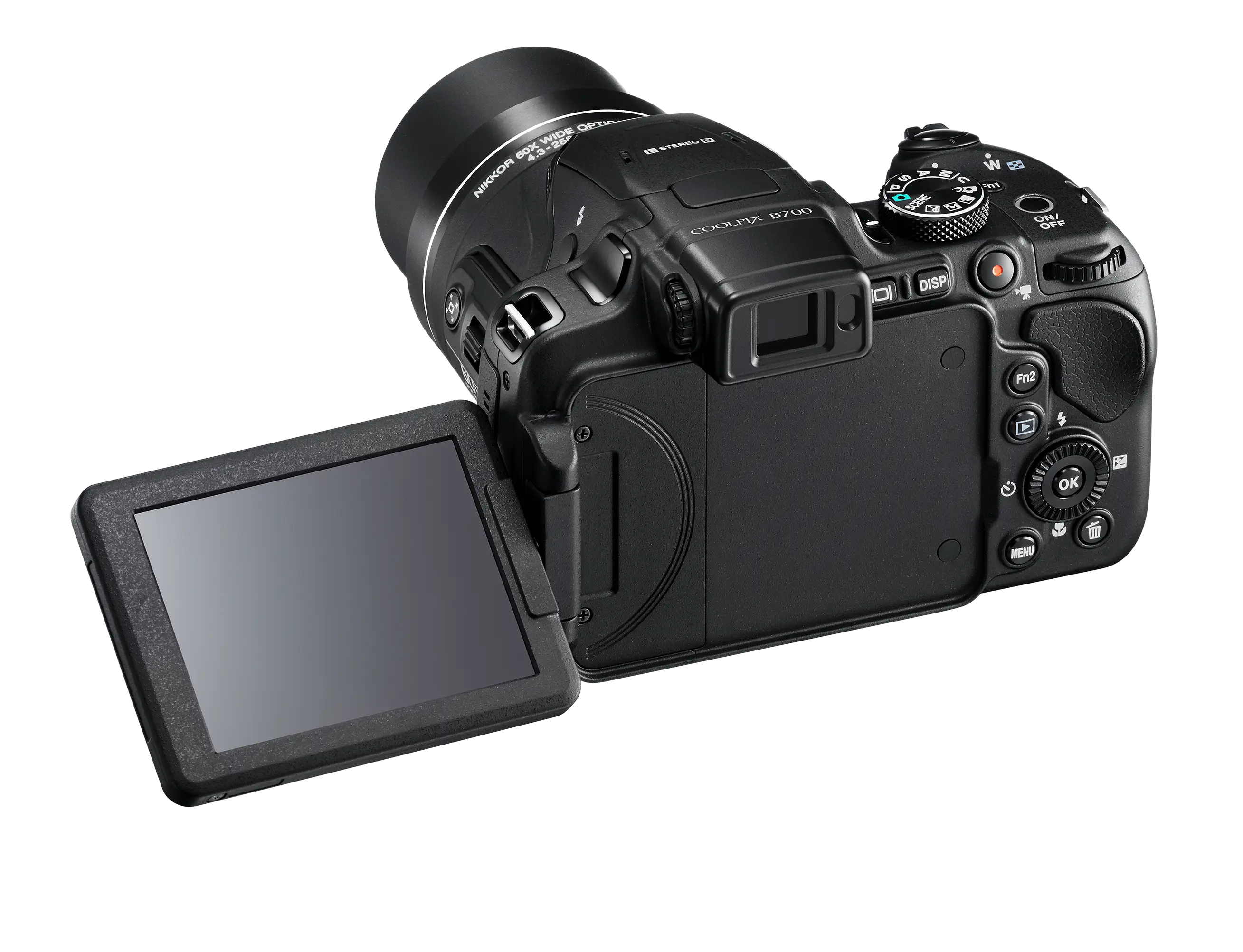 Digital Camera with Flip Screen