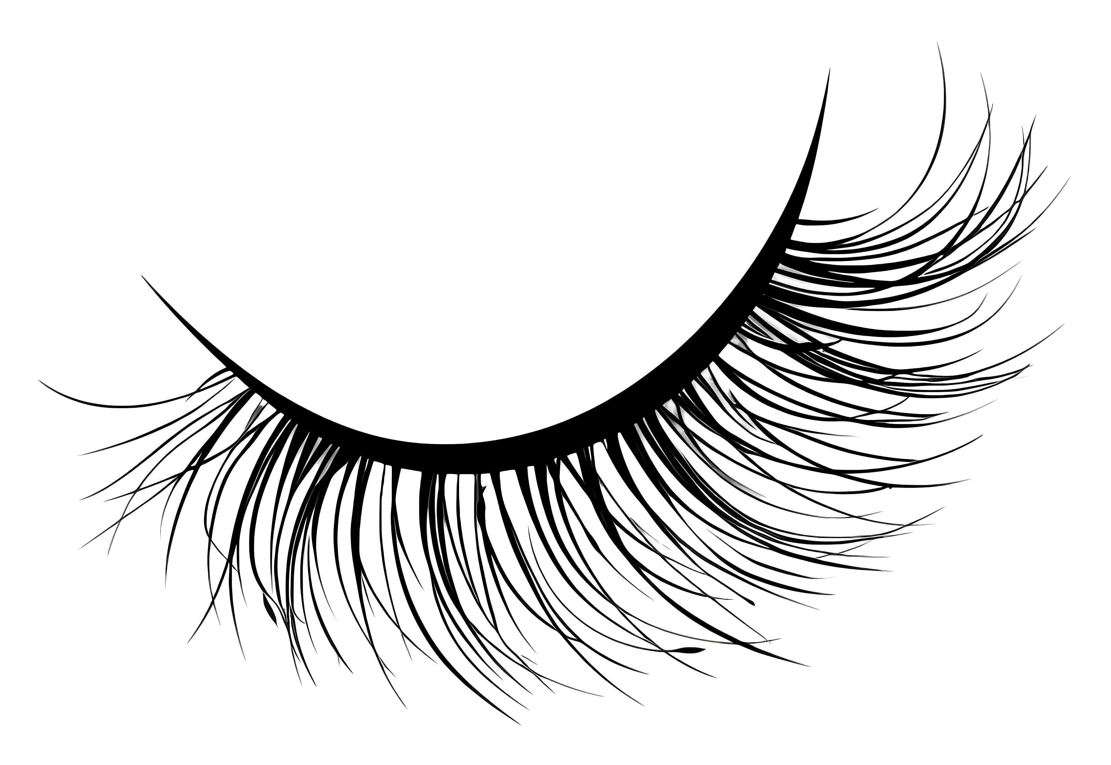 Beautiful Black Eyelash Design