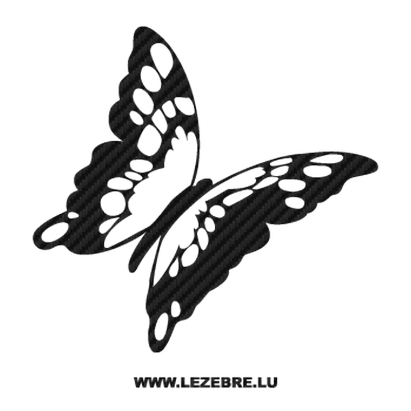 Black and White Butterfly