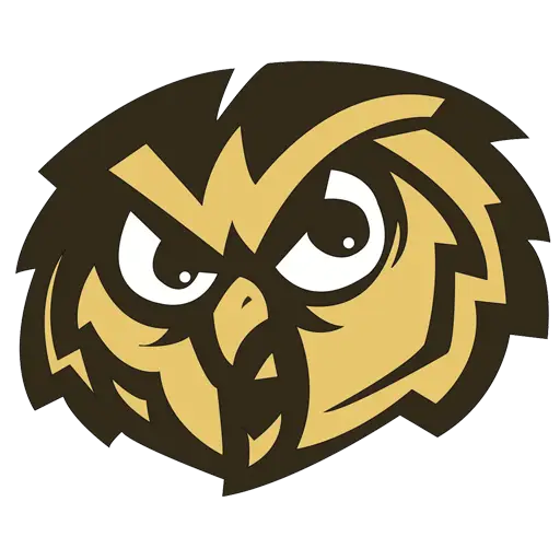 Owl Head Illustration