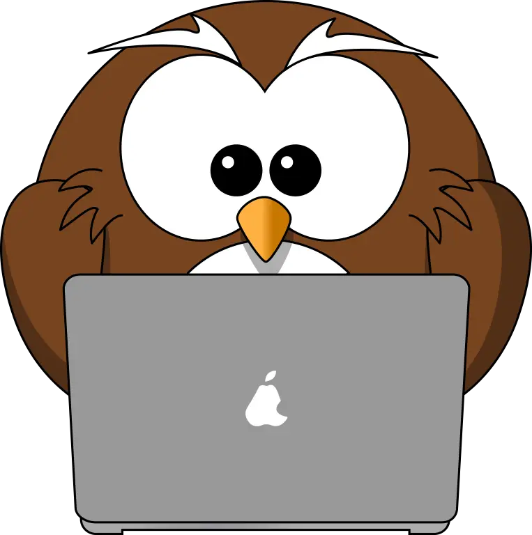 Cartoon Owl Working on Laptop