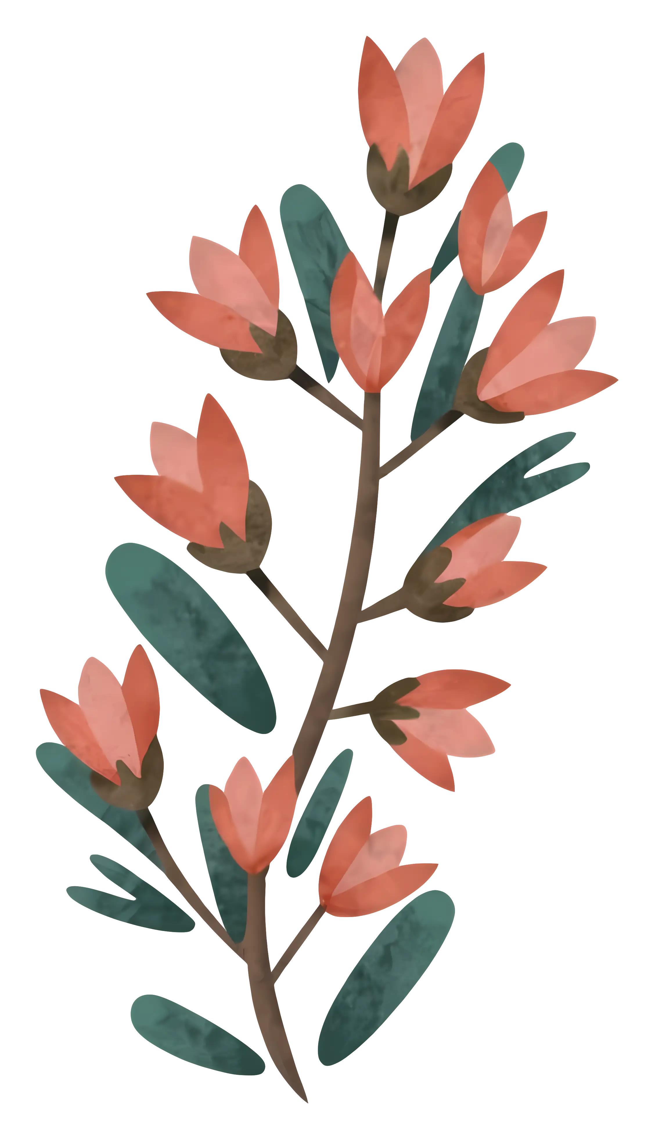 Flowering Branch Illustration