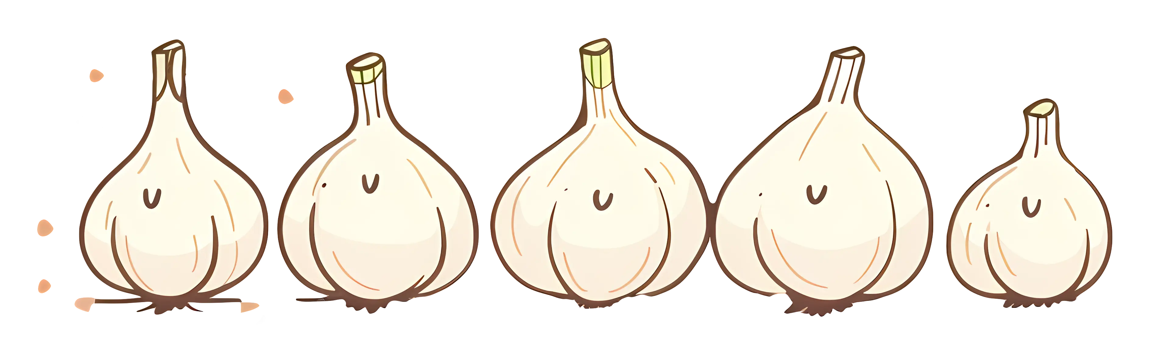 Garlic Bulbs