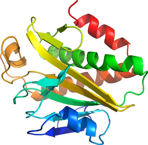 Colorful Protein Structure Representation