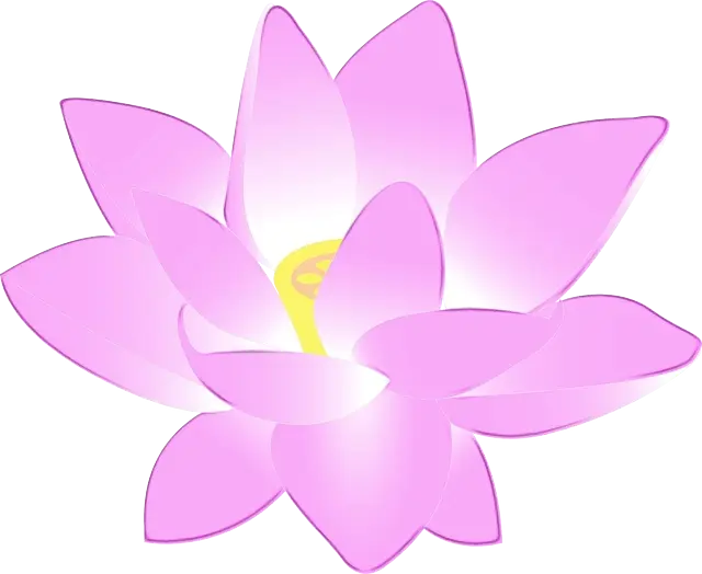 Pink Lotus Flower Blooming Indoors