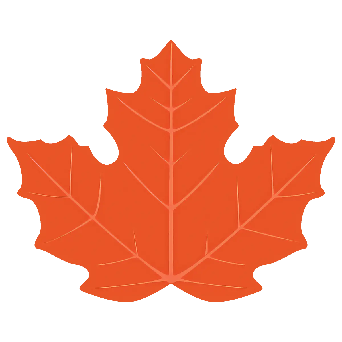 Orange Maple Leaf Illustration