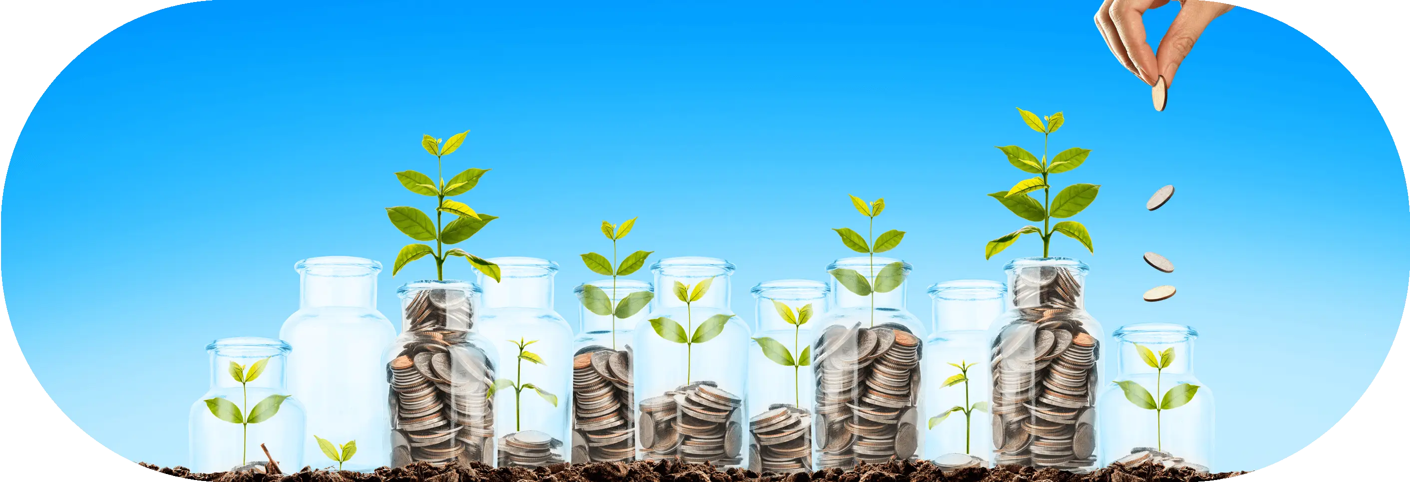 Growing Plants with Coins in Jars