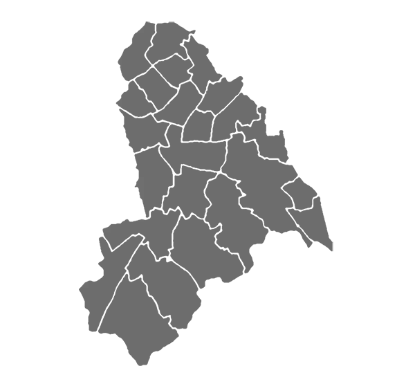 Outlined Regions on a Gray Map