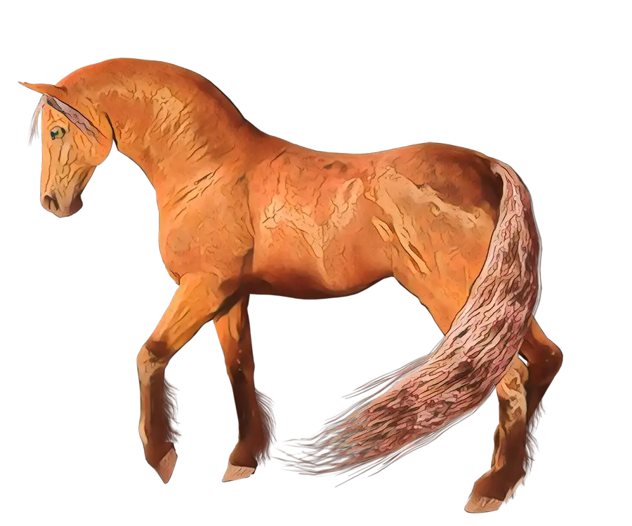 Elegant Brown Horse in Standing Pose