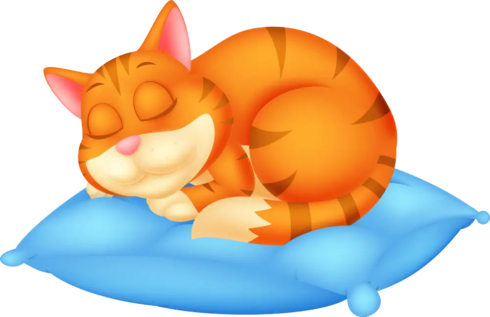Sleeping Cat on a Pillow