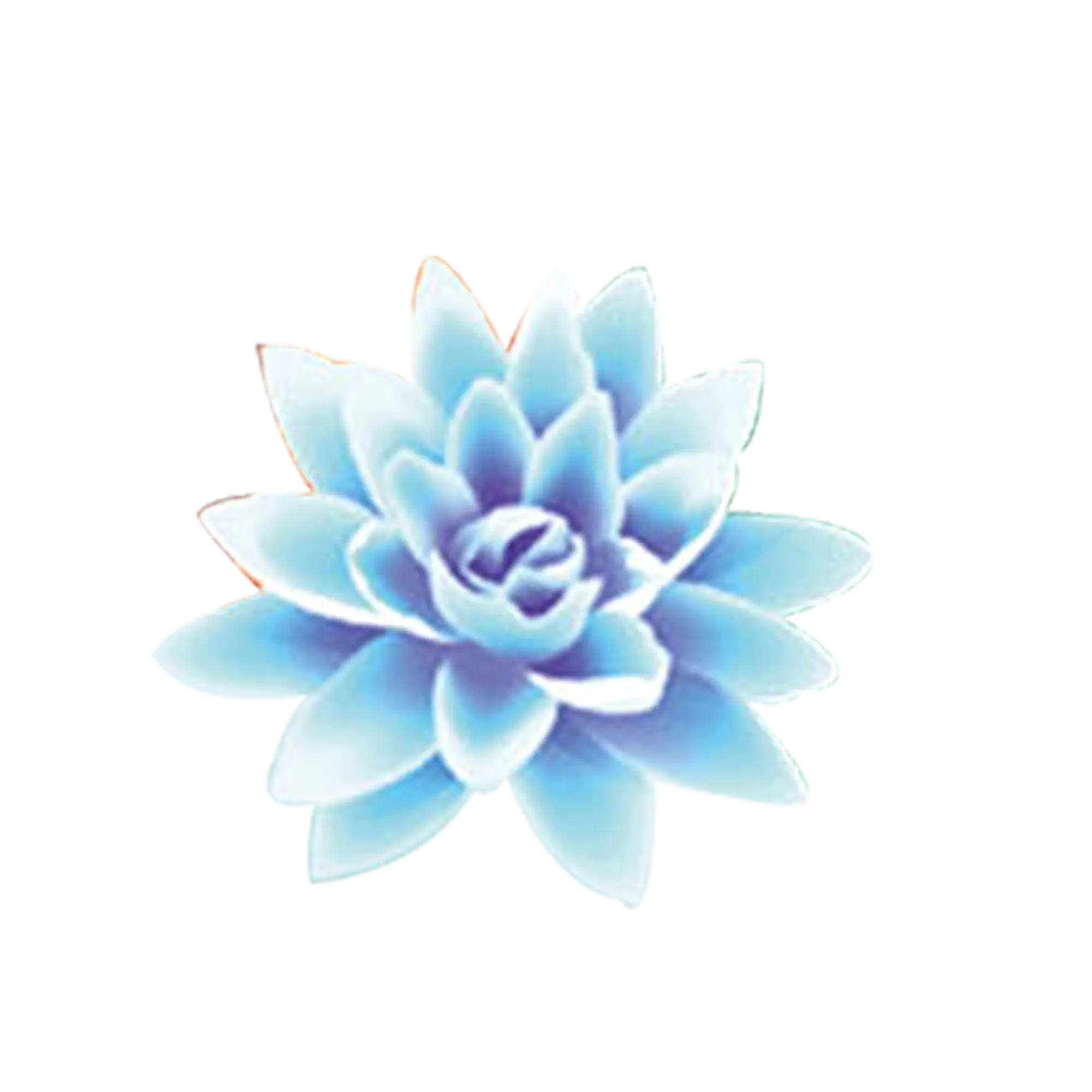 Beautiful Blue Flower Illustration