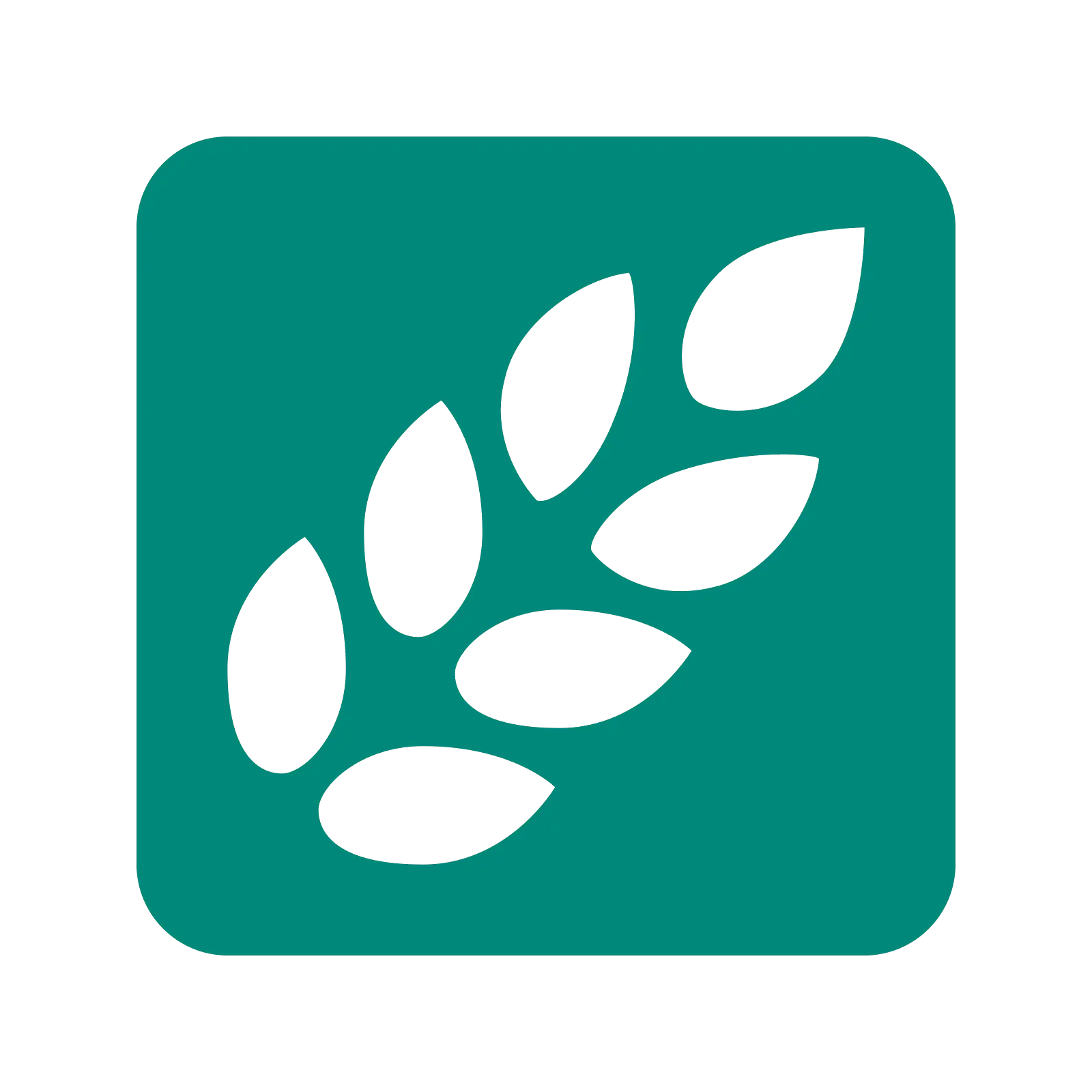 Green Wheat Symbol Agriculture Logo