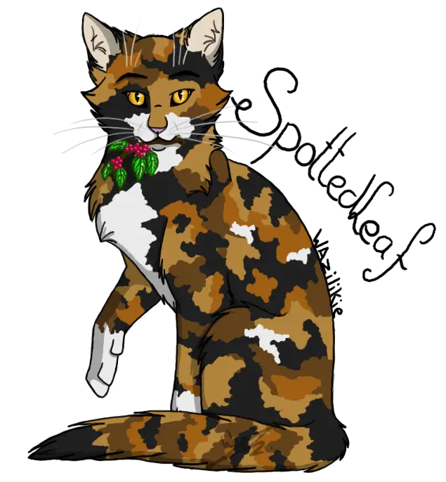 Spottedleaf Cat Illustration