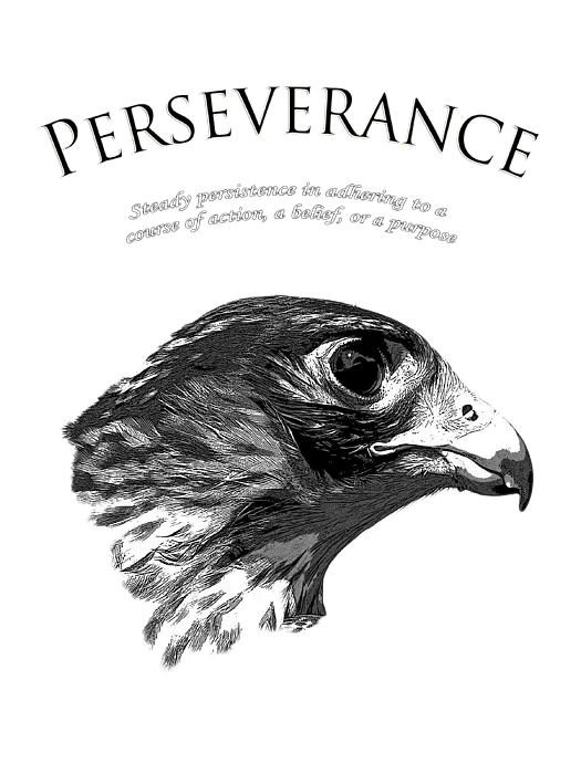Falcon Drawing with Perseverance Text