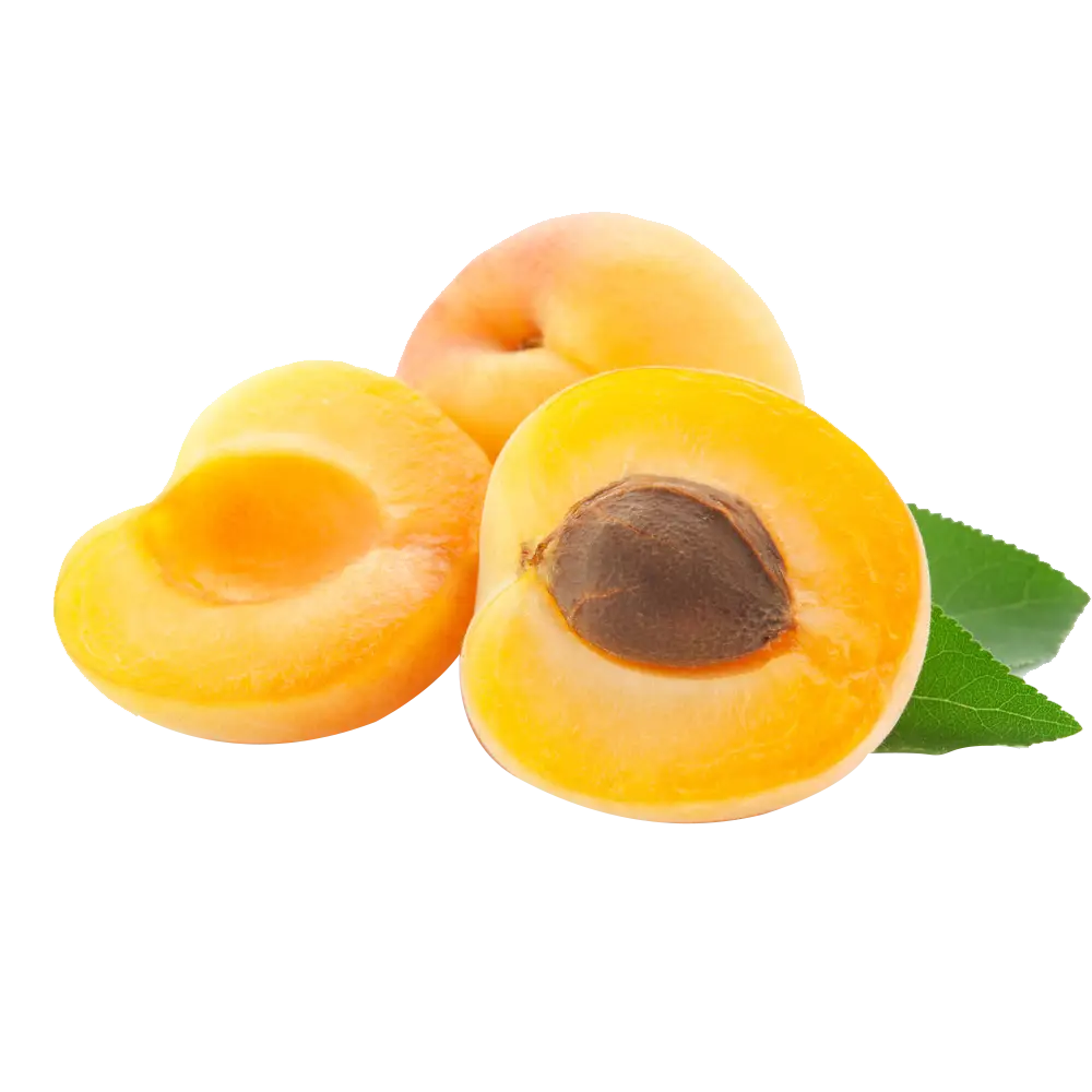 Fresh Apricots with Leaves
