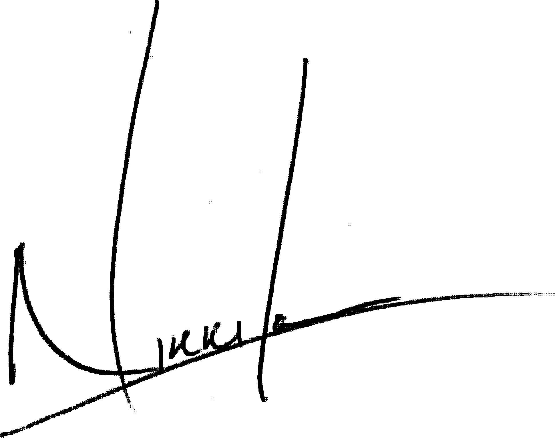 Stylized Black Signature
