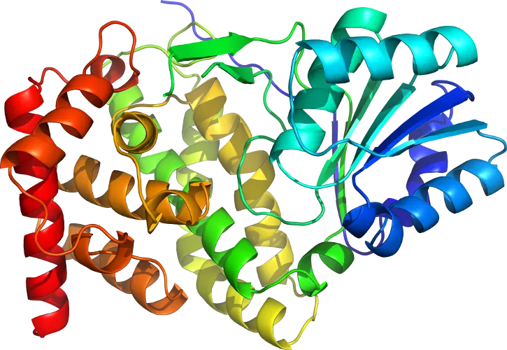Colorful 3D Protein Structure Illustration