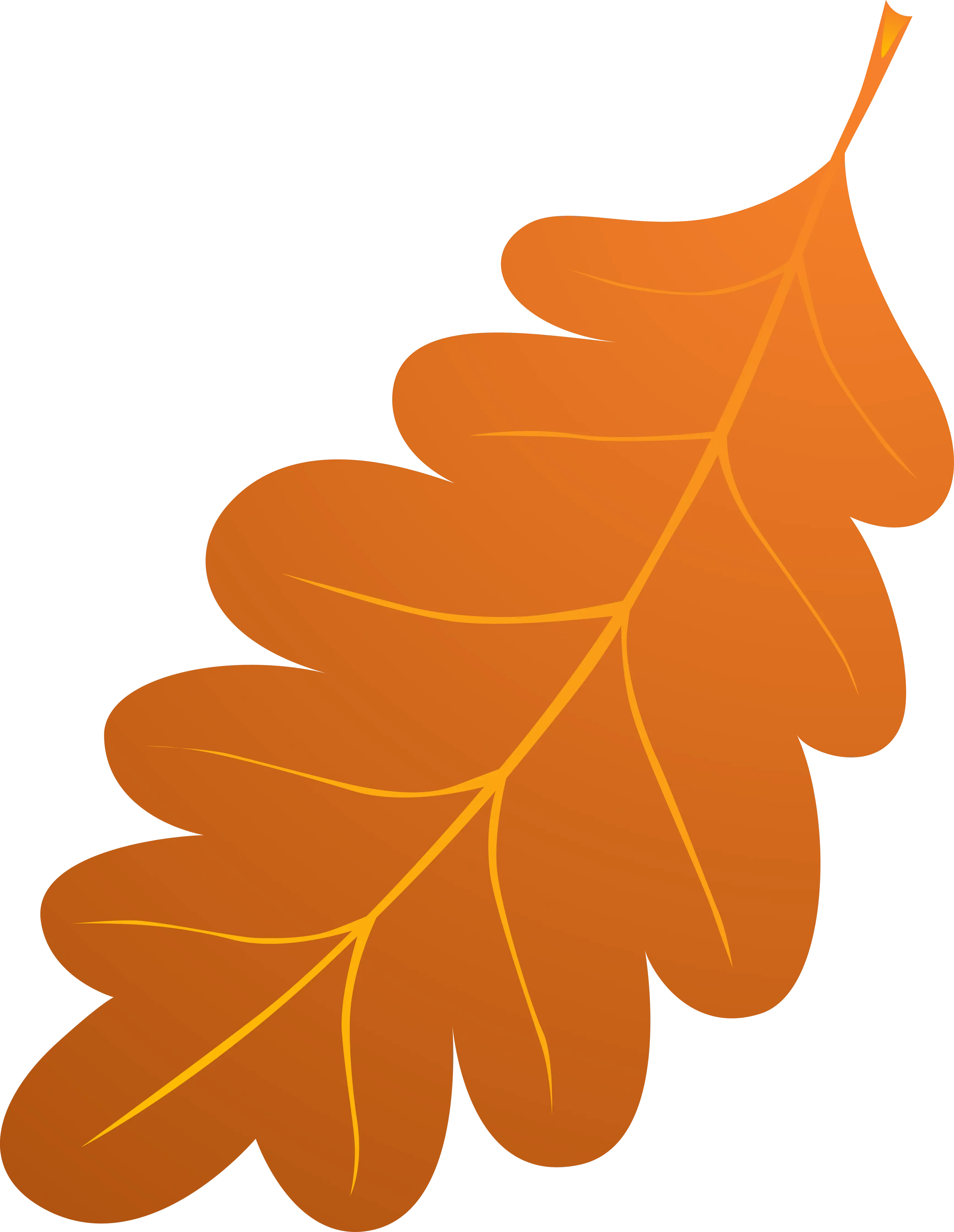 Orange Leaf Illustration for Fall Design