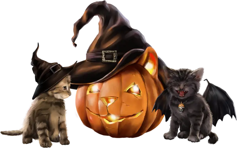 Halloween Pumpkin with Cats and Witch Hats