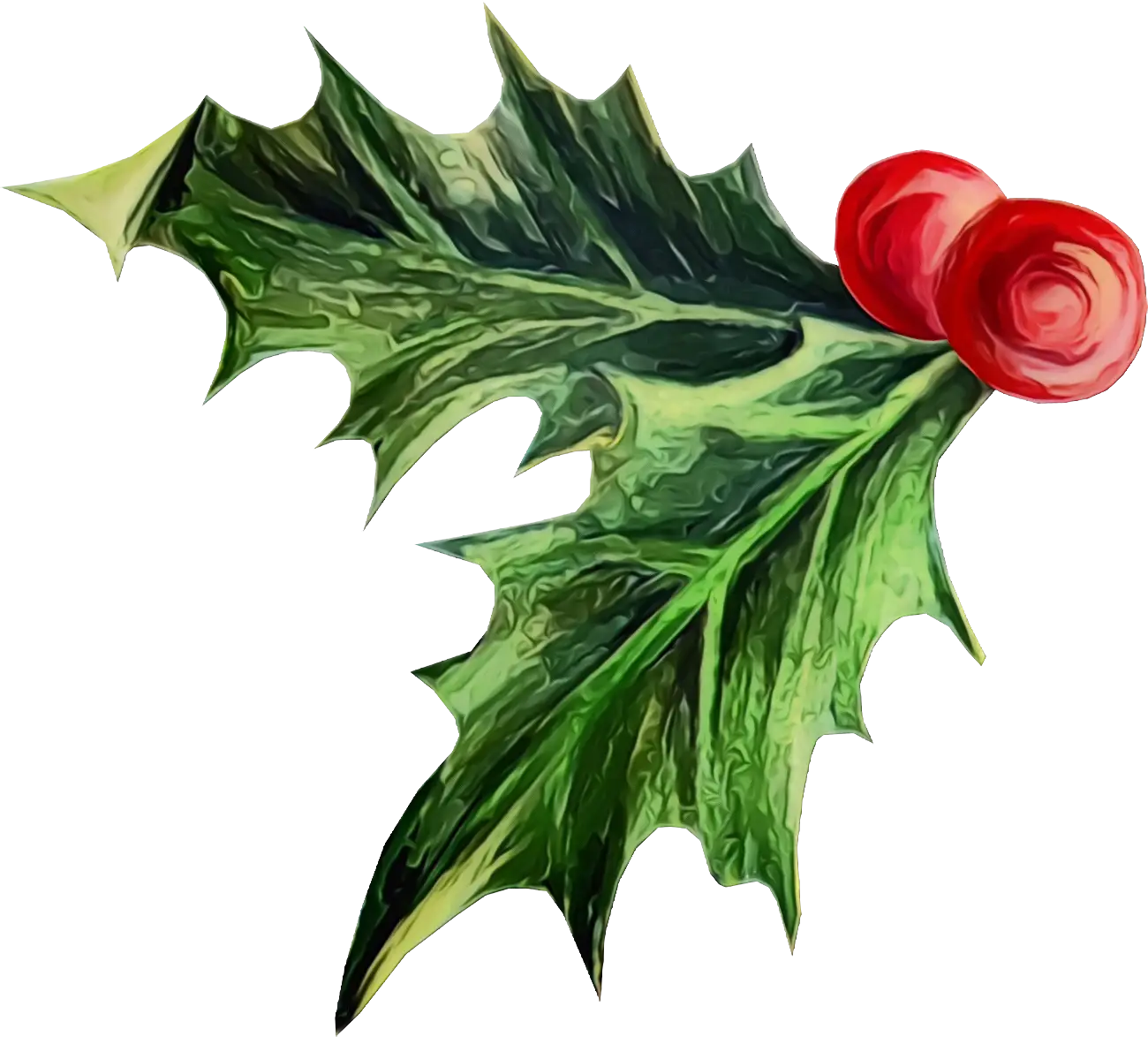 Holly Leaves with Red Berries Illustration