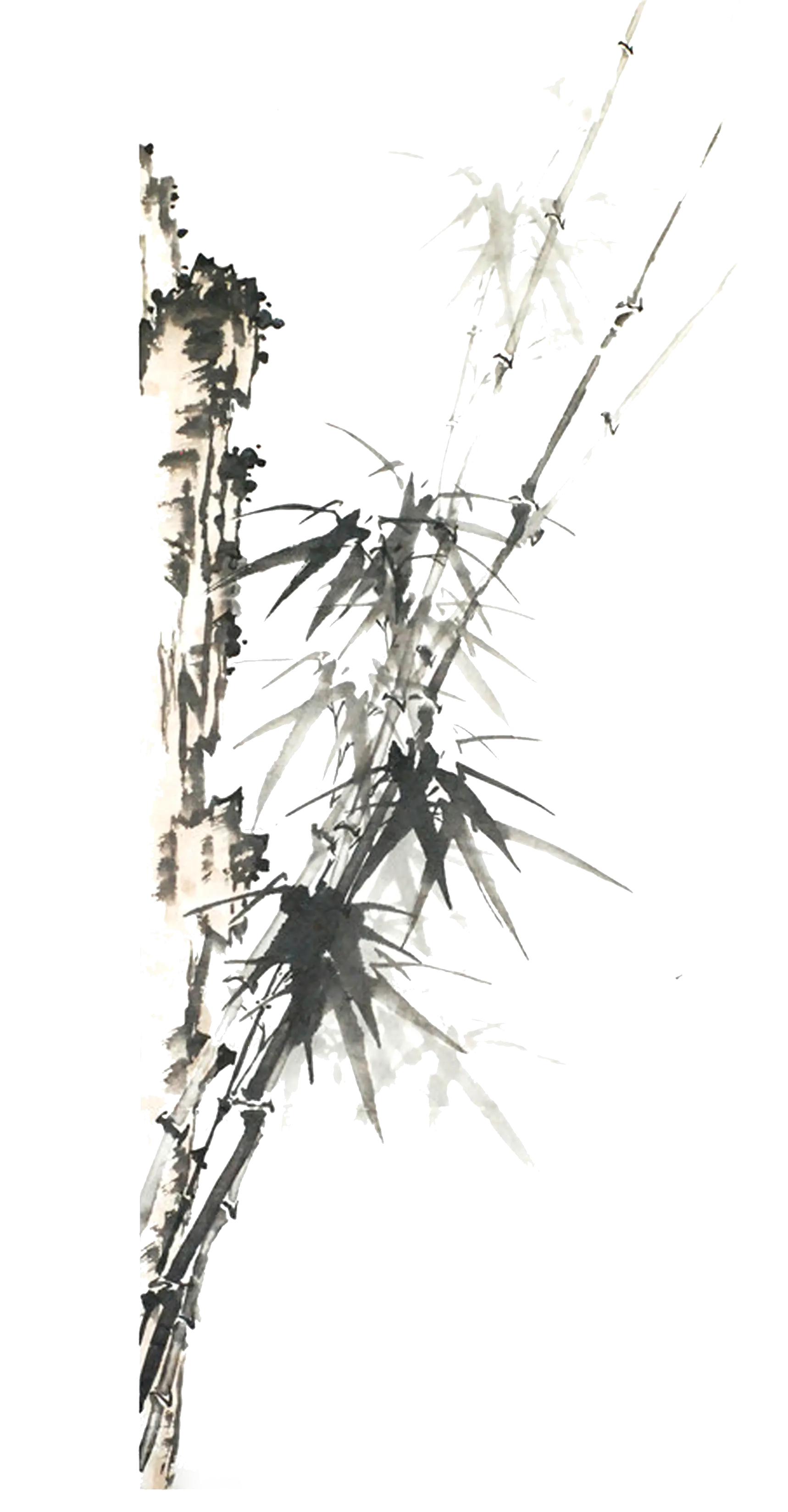 Bamboo Brush Art