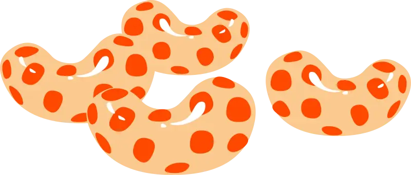 Spotted Beans Illustration