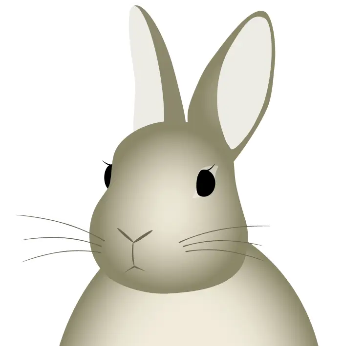 Cute Rabbit Illustration
