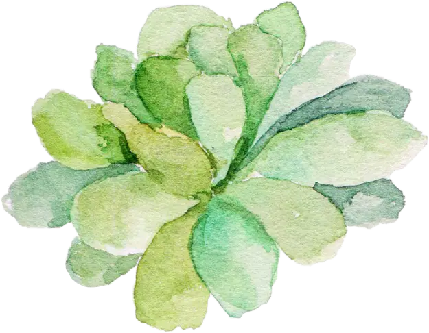 Watercolor Succulent Painting