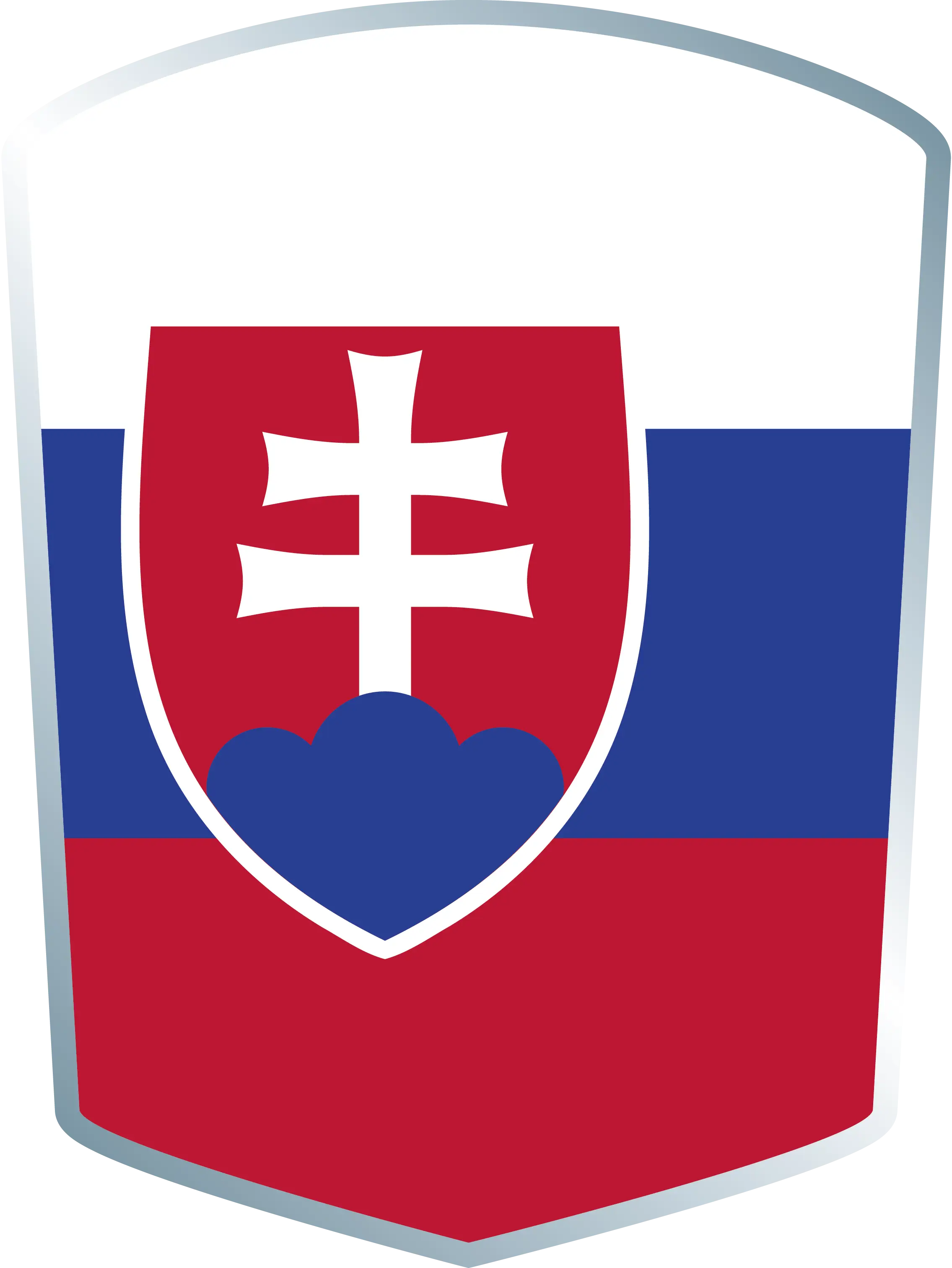 Slovakia National Flag