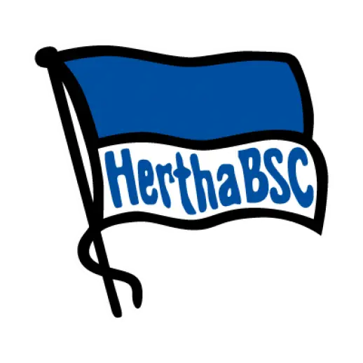 Hertha Berlin Sports Team Flag