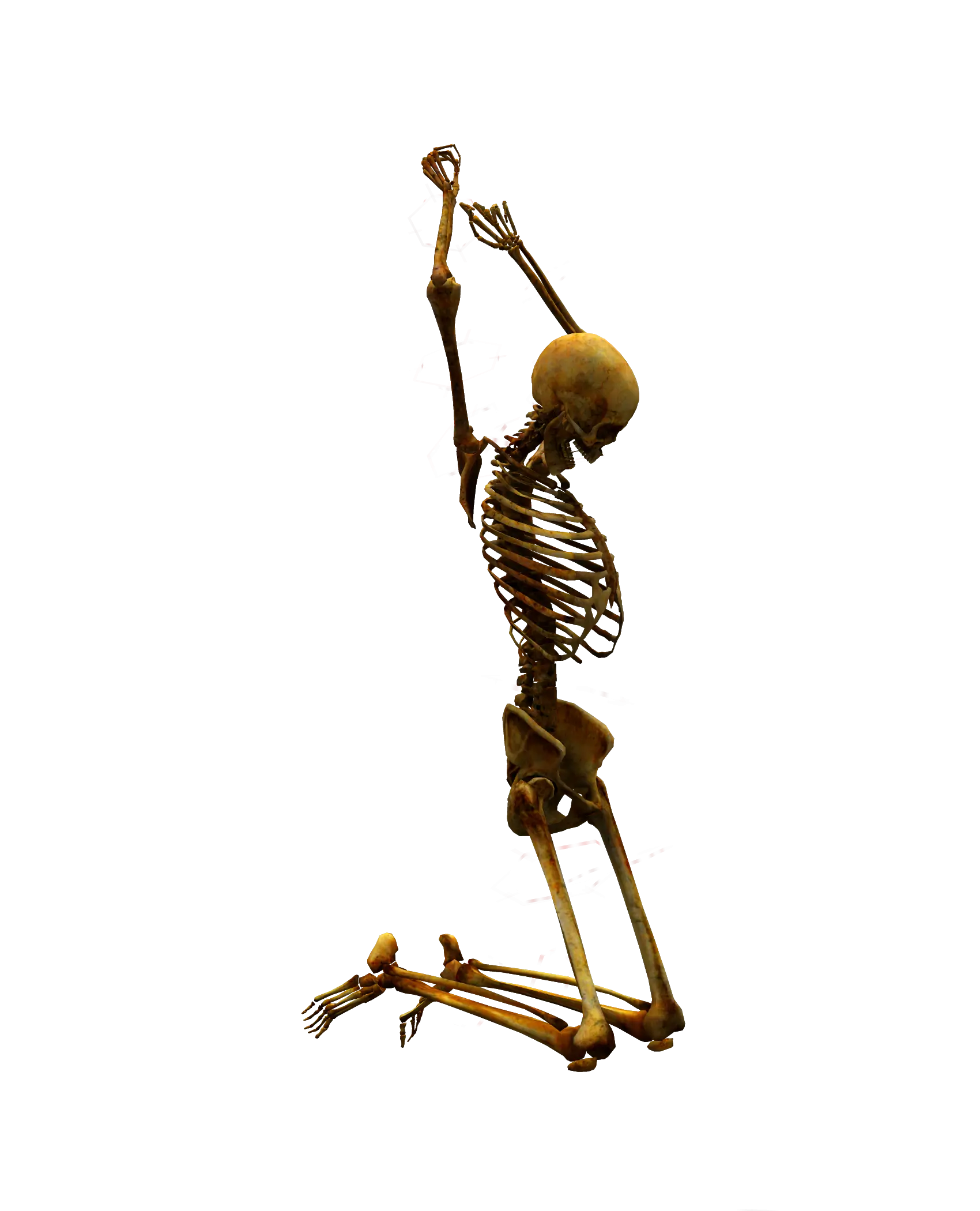 Skeleton Kneeling with Raised Arms