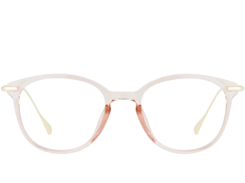 Transparent Eyeglasses with Clear Frames