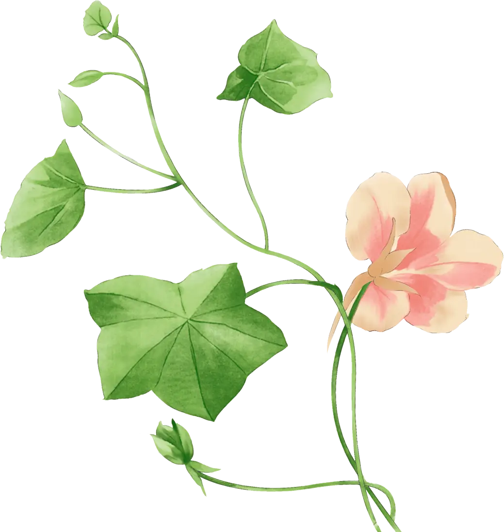 Floral Vine with Pink Flower Illustration