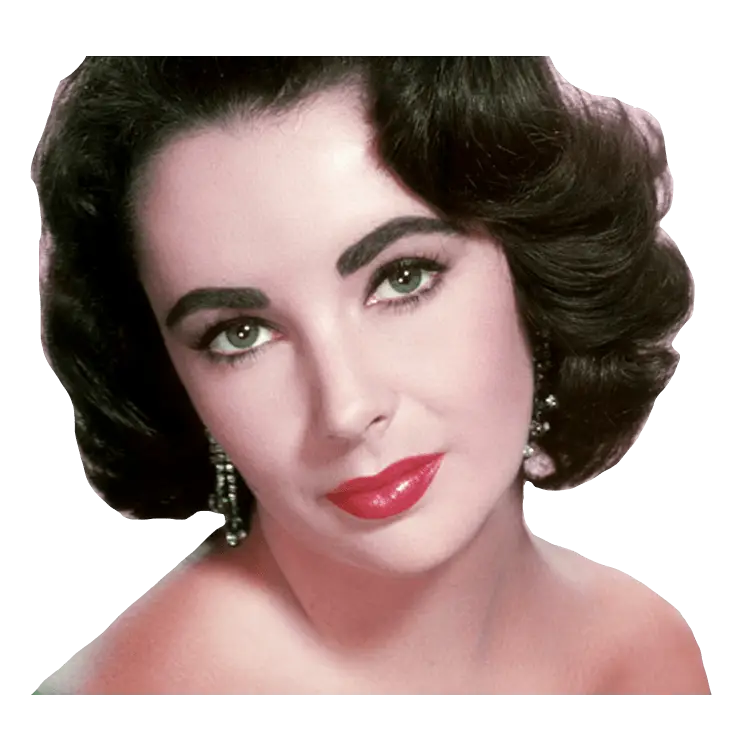 Elegant Woman&#039;s Portrait