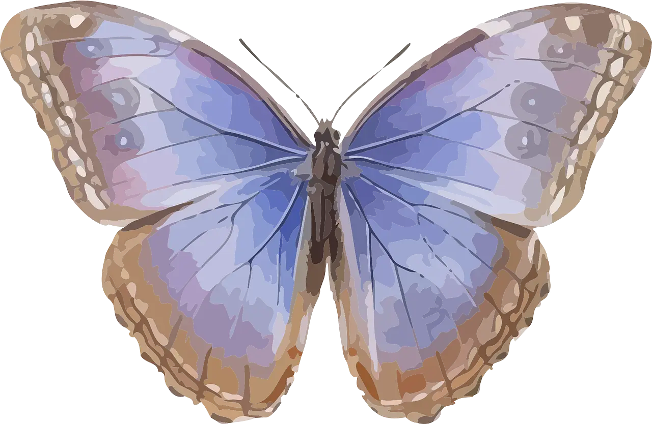 Graceful Blue Butterfly with Elegant Patterns