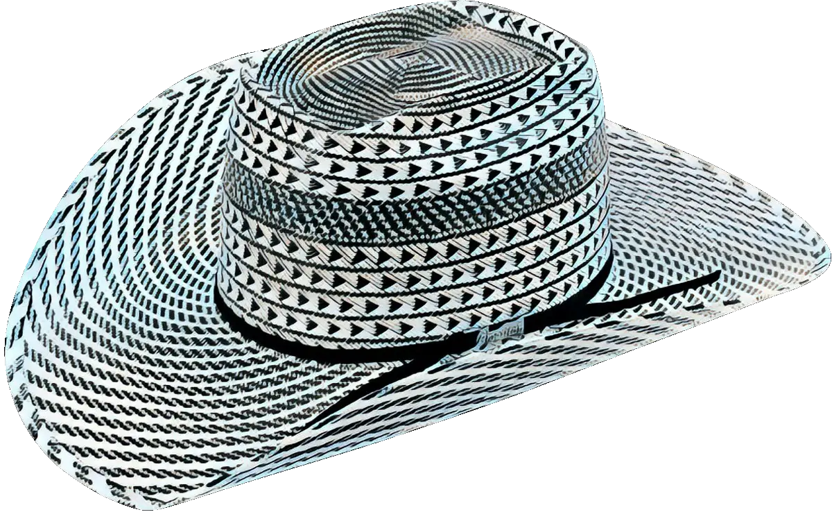Striped Cowboy Hat
