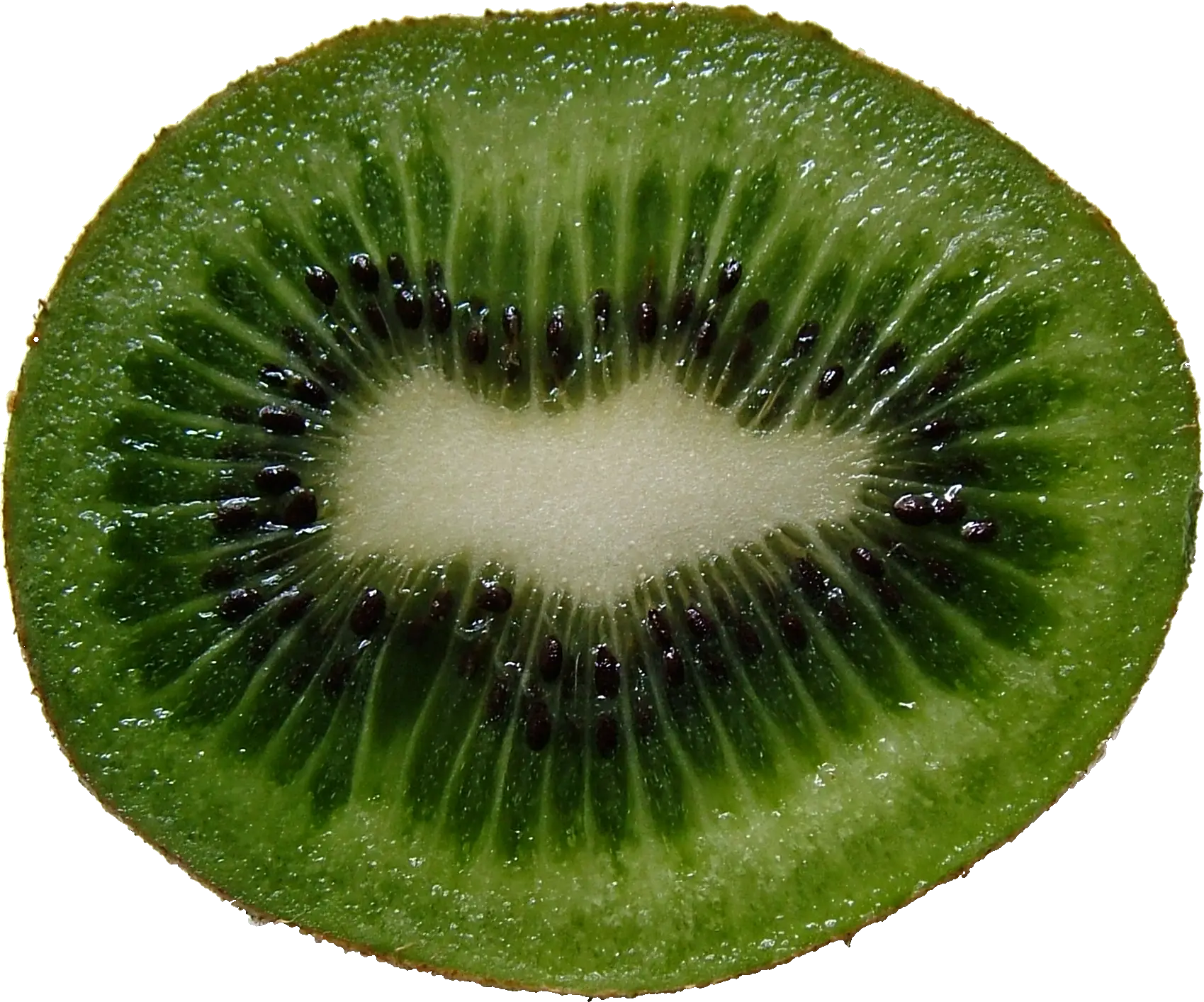 Vibrant Kiwi Fruit Slice
