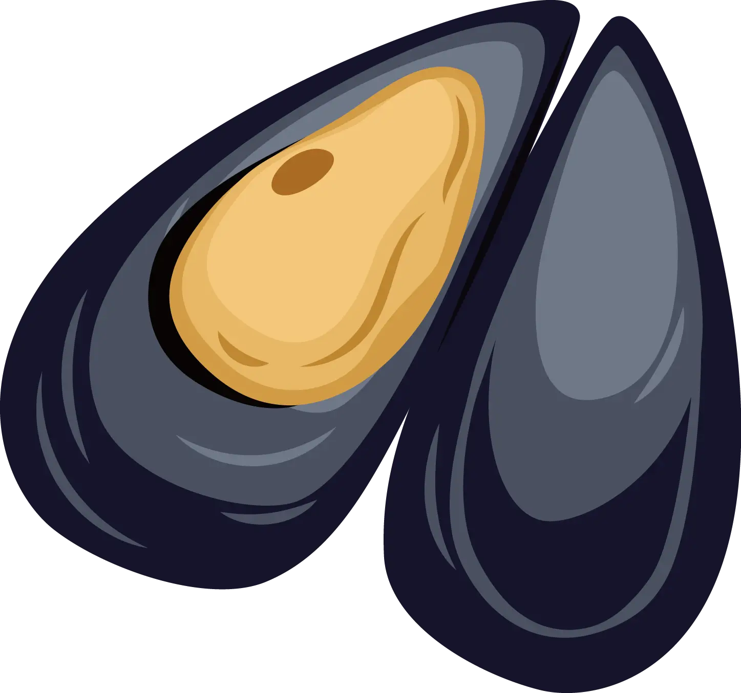 Fresh Mussels Illustration