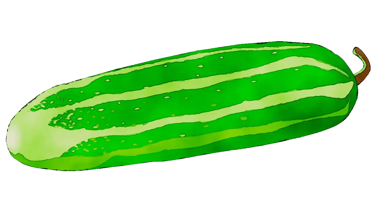 Green Cucumber Illustration