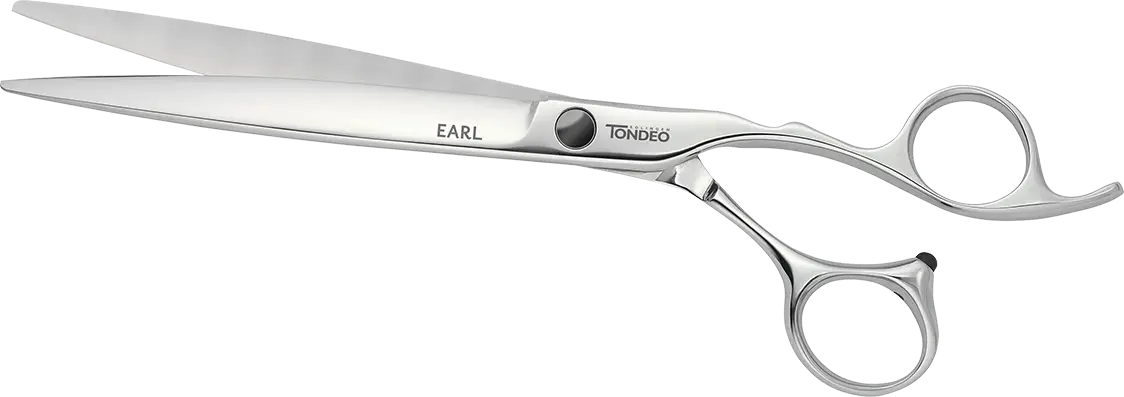 Silver Scissors for Precision Cutting