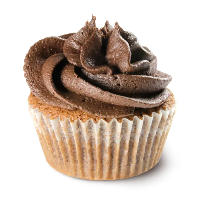 Chocolate Frosted Cupcake